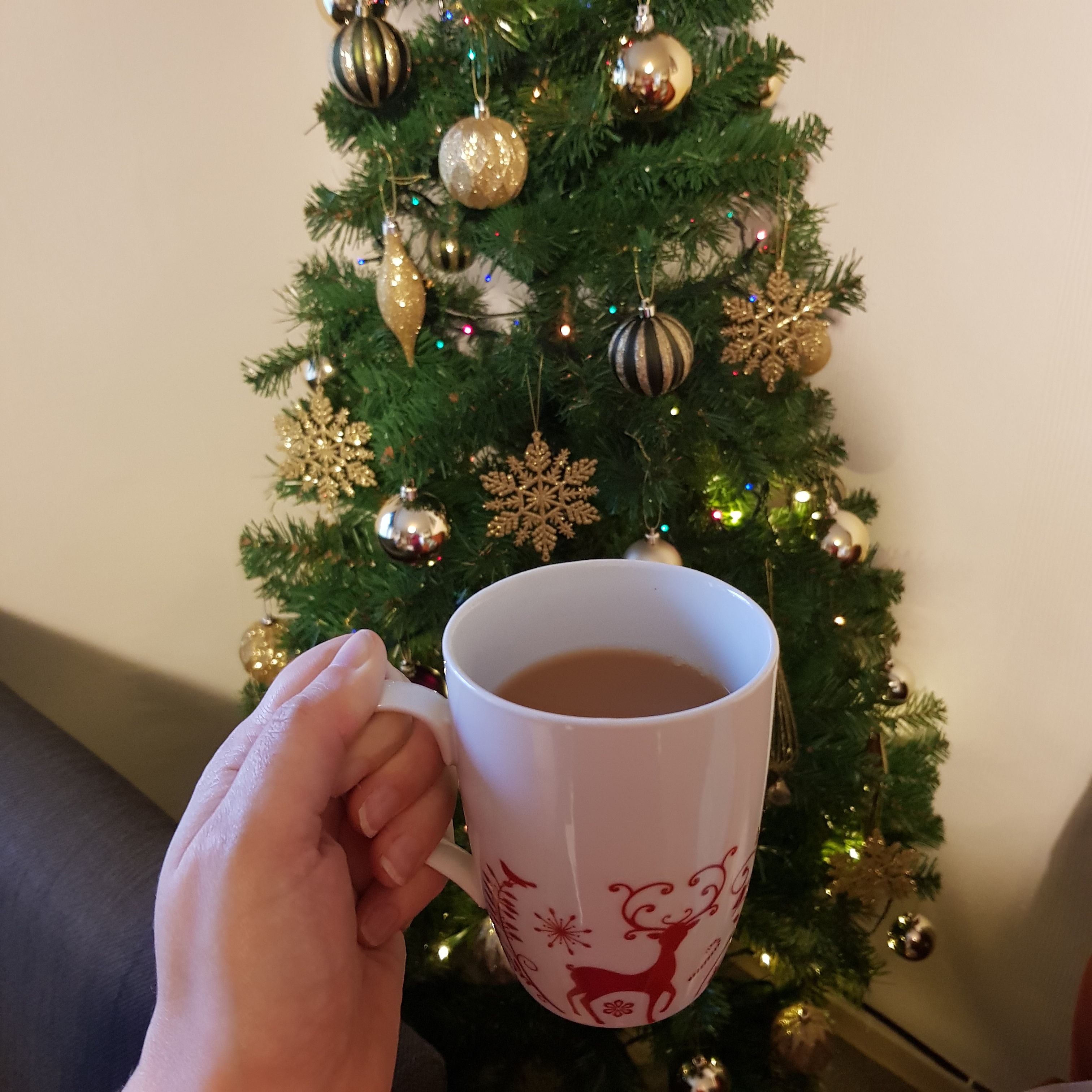 Christmas morning tea